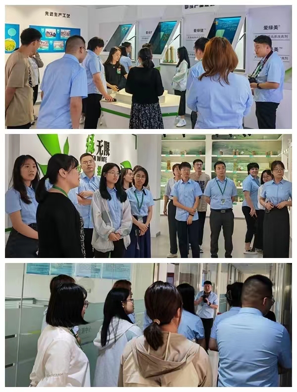 凯时KB88·(中国区)官方网站