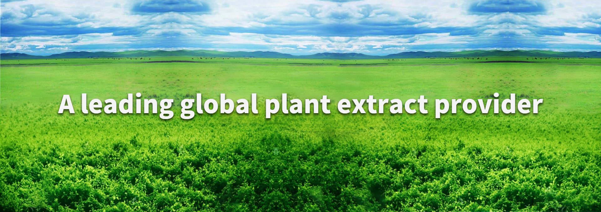 凯时KB88·(中国区)官方网站