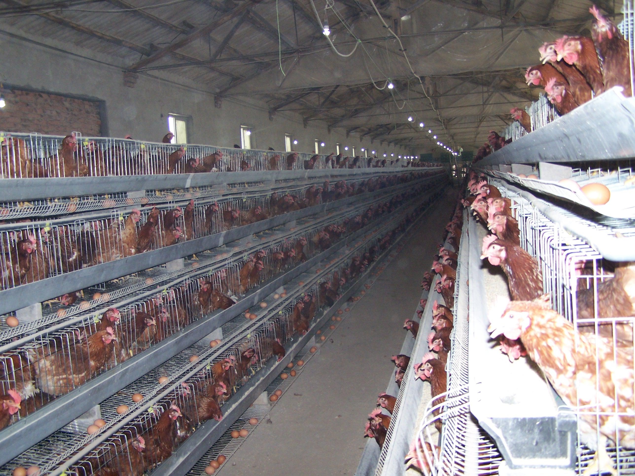 凯时KB88·(中国区)官方网站